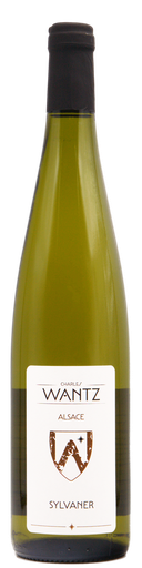 Sylvaner